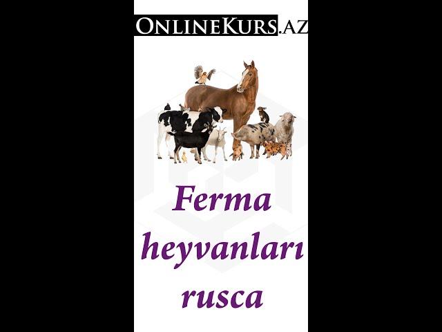 Ferma heyvanları rusca