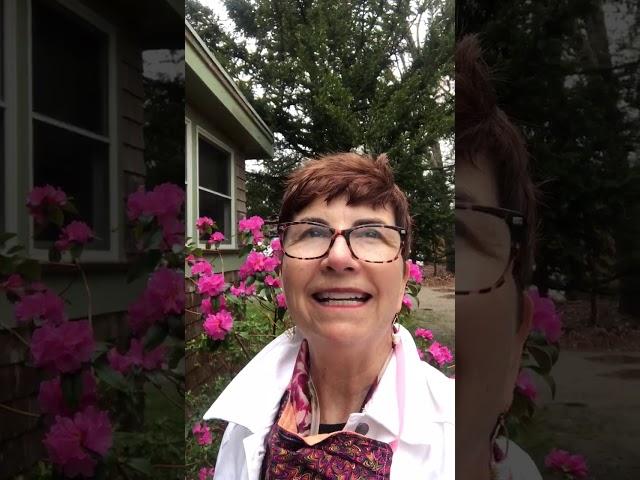 May 1, 2020 - Fridays with Laura