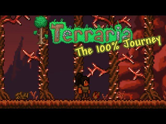 Terraria | The Completionist Playthrough