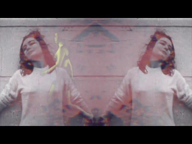 VIBRANT by Jeroen Vanbever (feat. visuals by Sammy Slabbinck)