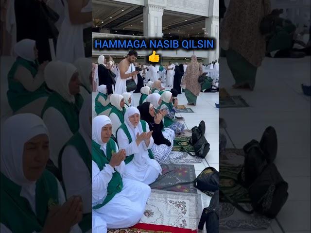 UMRA UZ UMRA SAFARI 2024 #makkah #rels #madinah #saudiarabia #umrah #top #arabic #hajj #islam #100