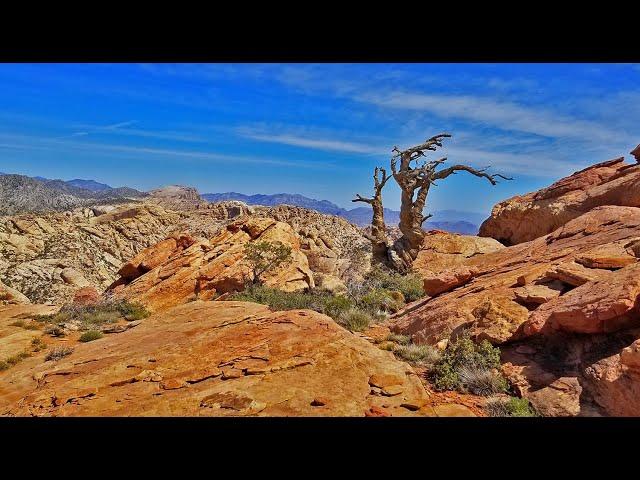 Windy Peak | Rainbow Mountain Wilderness, Nevada