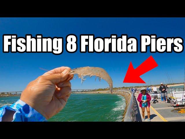 1 Hour Catching Fish on 8 Different Fl. Piers (Saltwater Fishing Florida)