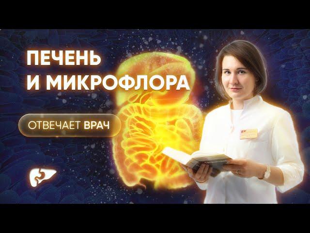 Влияние печени на микрофлору кишечника