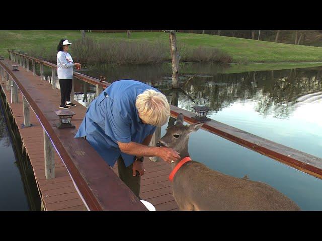 Dock Fishing with my DEAR and my DEER!