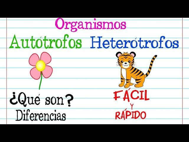 Organismos AUTÓTROFOS Y HETERÓTROFOS [Fácil y Rápido] | BIOLOGÍA |