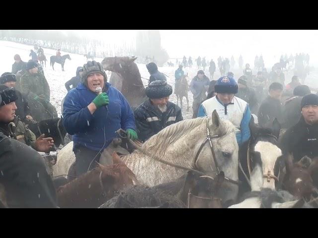 Маткасым балбан дубасын берди улак берген адамга