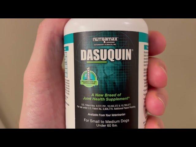 Dasuquin for Dogs, My Honest Review