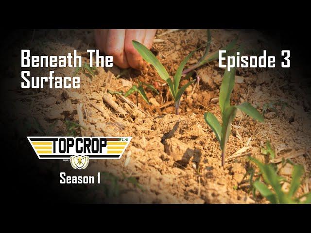 Top Crop | Episode 3