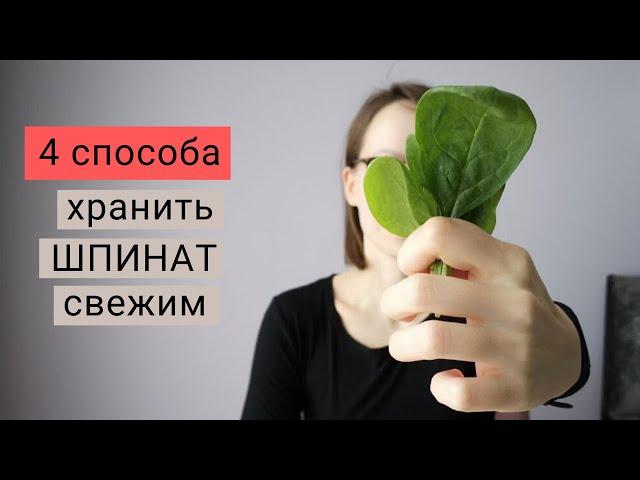 Как хранить зелень в холодильнике