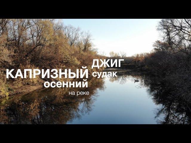 Капризный судак. Осенний джиг на реке Самара