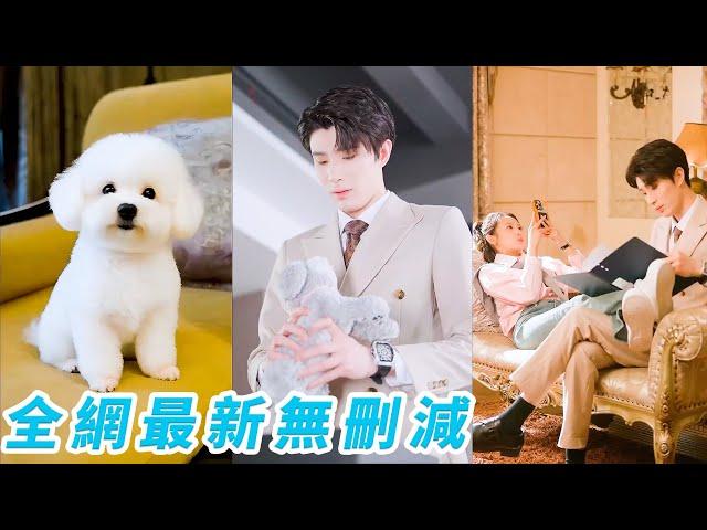 和死對頭總裁一夜錯情後，她每晚9點準時變成狗，想變回正常人必須再親一次，可總裁怕狗又嘴硬，她只好霸王硬上弓...#甜宠