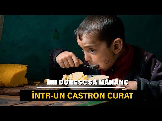 Îmi doresc să mănânc într-un castron curat…