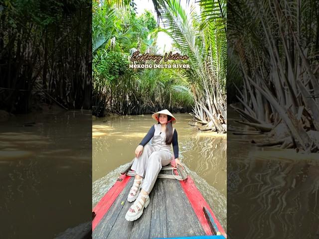 Mekong Delta River, Vietnam #vietnam #mekongdelta #shortvideo