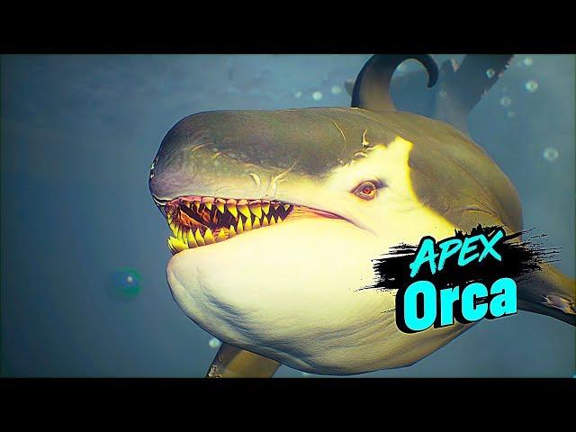 MANEATER Apex Orca Boss Fight Gameplay 4K 60FPS