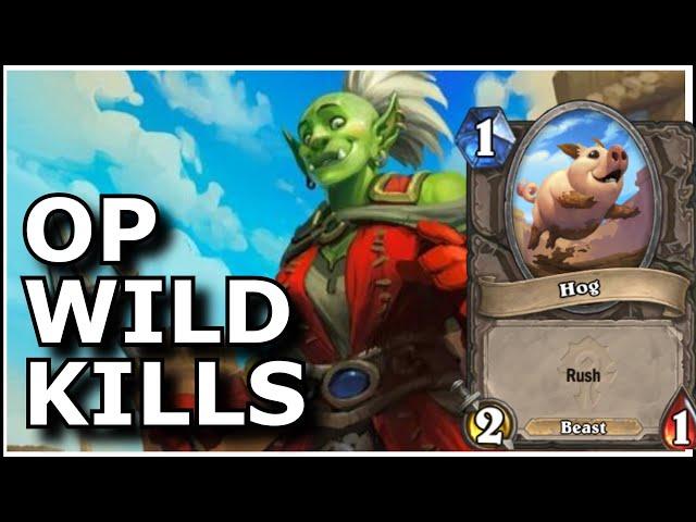 Hearthstone - Best of OP Wild Kills