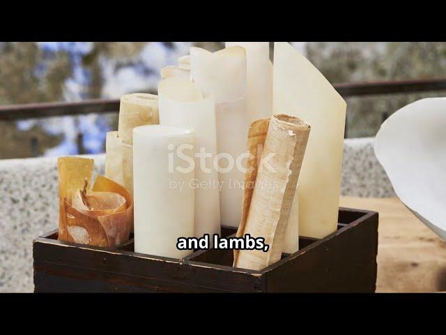 HISTORY OF PAPER || CAM Gonzales