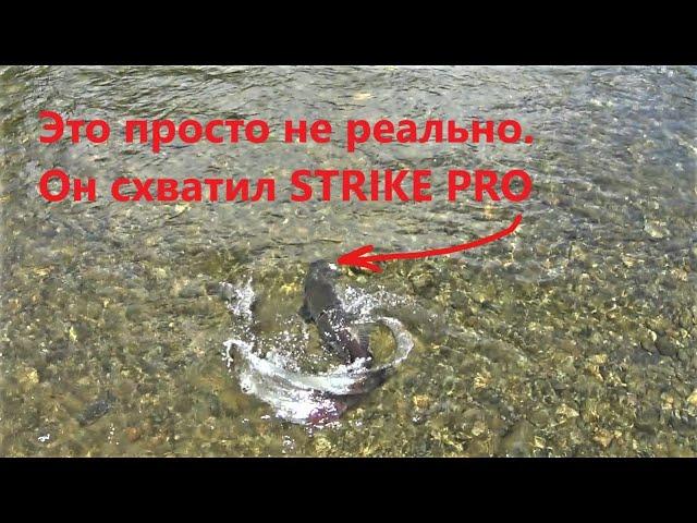 Я не мог в это поверить !!! STRIKE PRO против дерзкого ТАЙМЕНЯ !!! Часть 2.