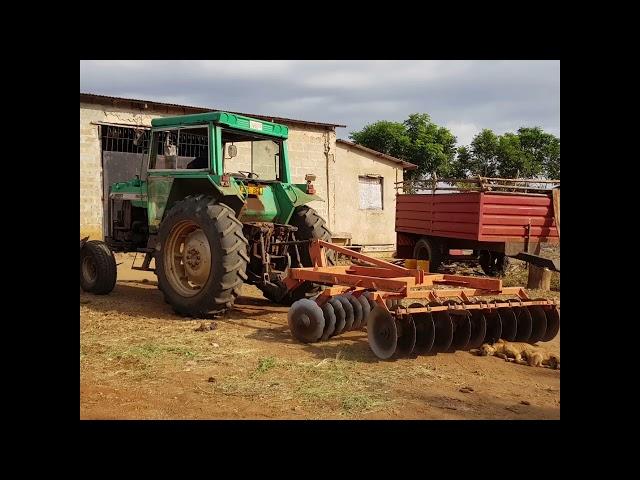 THE MAGICAL CROP THAT PRODUCES WHITE GOLD (sisal) #TANZANIA#MOROGORO#SISAL