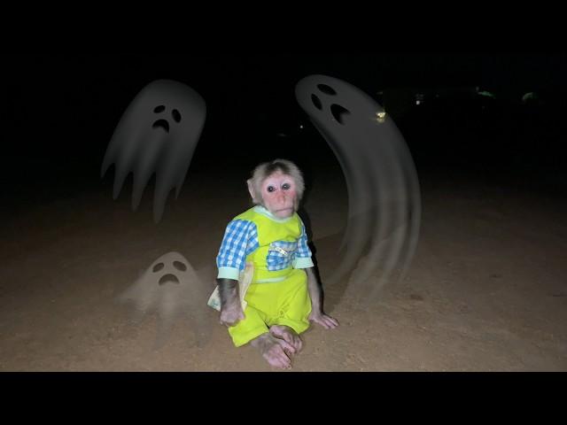 Cubis monkey runs away in fear when he sees a ghost!