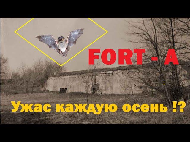 Форт в котором живут вампиры!