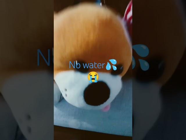 no water