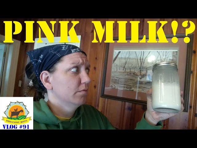 Pink Milk - SHOULD I BE ALARMED!?