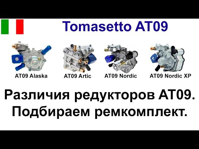 Ремкомплект редуктора AT09 (Tomasetto Alaska (Super), Nordic, Artic, Nordiс XP