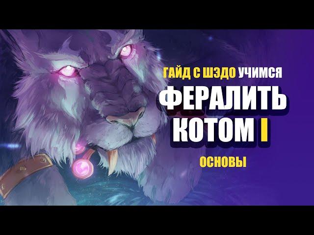 ФЕРАЛ КОТ ДПС ГАЙД | Учимся быть КОТОМ с Шэдо | Эпизод I: Основы. | World of Warcraft: Classic