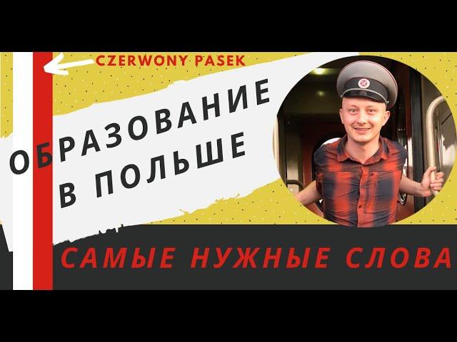 Образование в польше – самые нужные слова