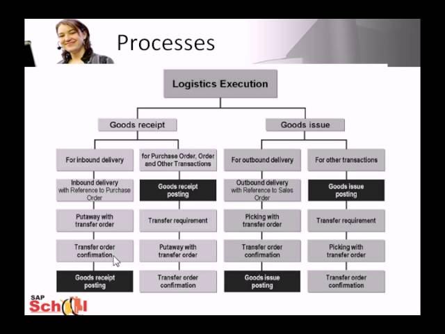 SAP Logistics Execution & Warehouse Management