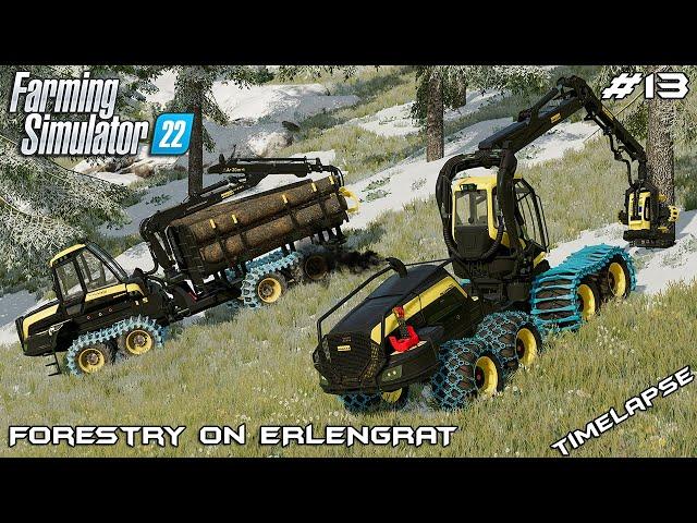 Buying first WOOD HARVESTER - PONSSE | Forestry on ERLENGRAT | Farming Simulator 22 | Episode 13