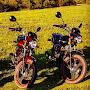 @IvAn-le7pw
