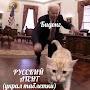 @kasladon