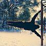 @сергейгорелов-ж2я