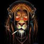 @ULCER7465