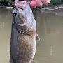 @BV_Fishing
