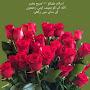@ghazalayasmeem1065