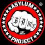 @asylumgameproject