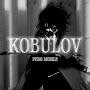 @KOBULOV_PUBGM
