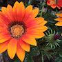 @learnalongnature1336
