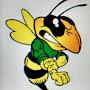 @MrHornet2853