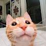 @КотАфанасий-ц9ы