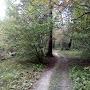 @konstantineremenko1590