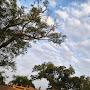 @Anand-singh1456