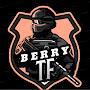 @berrytf1693