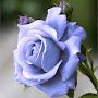 @imissyou8097
