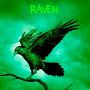 @raven_dj