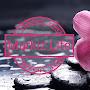 @markizlife8735