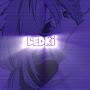 @LEDKI-52